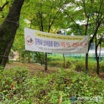 청룡동 공원 설치 된 불법 현수막 장당 25만 원의 과태료 부과 가능