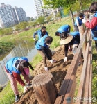 충남 천안시 청룡동주민자치위원회, 청수호수공원 구절초 꽃씨 파종