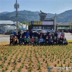 [아통포토] 아름다운 원주시행구동 만들기 꽃길 조성