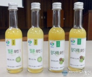 창원시, 과일와인 2종 개발용역 최종보고회 가져