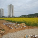 충남 당진 석문면 통정3리, 주민 ‘돌담 꽃밭’ 개장