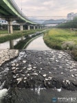 창원시, 내서읍 호계리 불명수 차단 총력