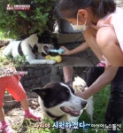 TV동물농장, 뻔뻔해야 내 집 마련이 가능하다니까