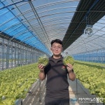 밀양 20대 농부, 스마트 농법 샐러드 채소 연중 생산    밀양 20대 농부, 스마트 농법 샐러드 채소 연중 생산    