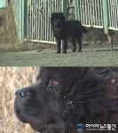 산청군, 실전 같은 재난대응 안전한국 훈련