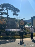 NAVER検索結果の写真 3
