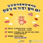 1등급 한우 70% 폭탄세일…오직 강진청자축제 현장에서만