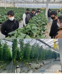 전북도, 내년도 청년농 스마트팜 창업에 62억원 지원