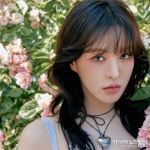 김종민 의원, 주호영과 '조국 장관' 두고 설전