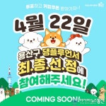 세상에 없던 댕플루언서 선정, ‘당신의 선택은?’