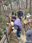 광주시 도척면, 폭설로 인한 위험 수목 임시 정비