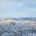 도담관광협동조합태백지점 이미지