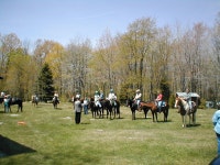 Farm Fun and Friends