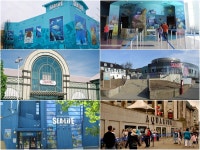 동물자유연대 : SEA LIFE 아쿠아리움의 거짓말을 알리는 SEA LIES 캠페인 SEA LIFE 아쿠아리움의 거짓말을 알리는 SEA LIES 캠페인