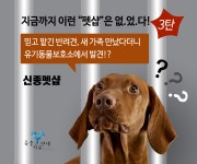 동물자유연대 : [신종펫샵 이야기] 3탄. 지금까지 이런 펫샵은 없.었.다! [신종펫샵 이야기] 3탄. 지금까지 이런 펫샵은 없.었.다!