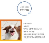 동물자유연대 : (입양 완료)화마가 덮친 개농장에서 구조된 해맑은 하겐이 (입양 완료)화마가 덮친 개농장에서 구조된 해맑은 하겐이