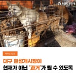 동물자유연대 : [해피빈 모금함] 대구 칠성 개시장 폐쇄를 위해 힘을 모아주세요! [해피빈 모금함] 대구 칠성 개시장 폐쇄를 위해 힘을 모아주세요!