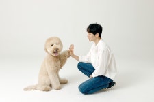 동물자유연대 : 해밀펫 고양이 화장실 후원 해밀펫 고양이 화장실 후원