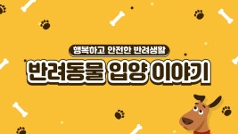 동물자유연대 : [슬기로운 반려생활] 2화 반려동물 사지말고 `입양하세요 [슬기로운 반려생활] 2화 반려동물 사지말고 `입양하세요