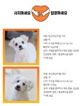 동물자유연대 : [곤지암 번식장 구조견] 이곤이&쟈스민 [곤지암 번식장 구조견] 이곤이&쟈스민