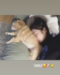 동물자유연대 : KATIE 팬분의 후원 KATIE 팬분의 후원