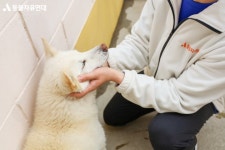 동물자유연대 : 유니룩스의 후원 유니룩스의 후원