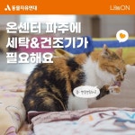 동물자유연대 : 온센터 파주에 세탁&건조기가 필요해요 온센터 파주에 세탁&건조기가 필요해요