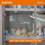 동물자유연대 : 온센터 파주에 세탁&건조기가 필요해요 온센터 파주에 세탁&건조기가 필요해요