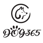 동물자유연대 : DOG 365의 후원 DOG 365의 후원