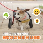 동물자유연대 : 봄맞이 깔끔 미용 나들이! 온센터 친구들이 가볍게 미용을 했어요. 😉 봄맞이 깔끔 미용 나들이! 온센터 친구들이 가볍게 미용을... 