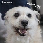 동물자유연대 : 온독 미용 나눔교육! 친구들을 위한 나눔 시간을 가졌습니다. 🤝 온독 미용 나눔교육! 친구들을 위한 나눔 시간을 가졌습니다. 🤝