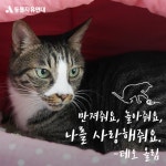 동물자유연대 : [입양] 만져줘요, 놀아줘요, 사랑해 줘요. ‘테오’ 올림 [입양] 만져줘요, 놀아줘요, 사랑해 줘요. ‘테오’ 올림