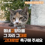 동물자유연대 : [무단방사 금지] 동네고양이를 그 자리 그대로! ‘고대로법’ 촉구하기 [무단방사 금지] 동네고양이를 그 자리 그대로!... 