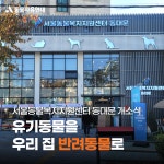 동물자유연대 : [행사 후기] 유기동물을 우리 집 반려동물로 서울동물복지지원센터 동대문 개소식 [행사 후기] 유기동물을 우리 집 반려동물로... 