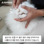 동물자유연대 : 조용히 다가와 사랑을 전해주는 일순이 조용히 다가와 사랑을 전해주는 일순이