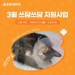 동물자유연대 : [쓰담쓰담] 2024년 3월 쓰담쓰담 치료비 지원사업을 시작합니다 [쓰담쓰담] 2024년 3월 쓰담쓰담 치료비 지원사업을 시작합니다
