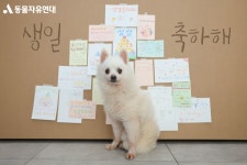 동물자유연대 : [Ons Brithday] 보령불법번식장구조견 친구들, 생일 정말 축하해!🎉 [Ons Brithday] 보령불법번식장구조견 친구들, 생일... 