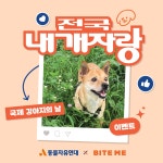 동물자유연대 : [국제 강아지의 날 이벤트] 전국 내 개 자랑! [국제 강아지의 날 이벤트] 전국 내 개 자랑! 
