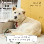 동물자유연대 : ⭐스타 산책하다!⭐ ⭐스타 산책하다!⭐