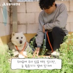 동물자유연대 : ⭐스타 산책하다!⭐ ⭐스타 산책하다!⭐
