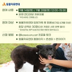 동물자유연대 : [9월 온캣에 놀러오개] 잔디마당에서 뛰어놀아요🐕 [9월 온캣에 놀러오개] ﻿잔디마당에서 뛰어놀아요🐕