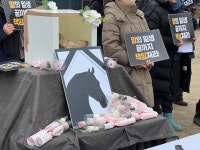 동물자유연대 : [보도자료] 퇴역마 내버려 죽게하던 공주시 폐마목장 폐쇄 [보도자료] 퇴역마 내버려 죽게하던 공주시 폐마목장 폐쇄