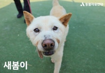 동물자유연대 : 🧡 위탁보호소에서 지내고 있는 통영 개농장 구조견 친구들 소식 전합니다! 🧡 위탁보호소에서 지내고 있는 통영 개농장 구조견... 