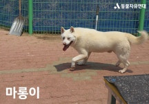 동물자유연대 : 🧡 위탁보호소에서 지내고 있는 통영 개농장 구조견 친구들 소식 전합니다! 🧡 위탁보호소에서 지내고 있는 통영 개농장 구조견... 