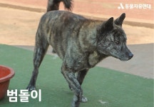 동물자유연대 : 🧡 위탁보호소에서 지내고 있는 통영 개농장 구조견 친구들 소식 전합니다! 🧡 위탁보호소에서 지내고 있는 통영 개농장 구조견... 