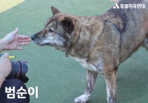 동물자유연대 : 🧡 위탁보호소에서 지내고 있는 통영 개농장 구조견 친구들 소식 전합니다! 🧡 위탁보호소에서 지내고 있는 통영 개농장 구조견... 