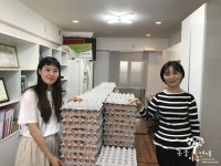 동물자유연대 : [후기] 참사랑농장 달걀이 왔어요! [후기] 참사랑농장 달걀이 왔어요!