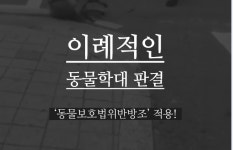 반려동물 | 주요활동 | 동물자유연대