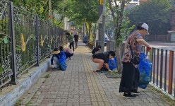 시정소식 : 안산톡톡 안산톡톡 - 시정소식