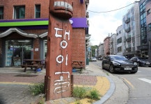 음식 | 관광안내